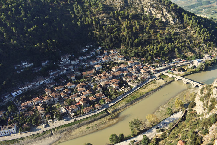 aerial view of city buildings and trees during daytime