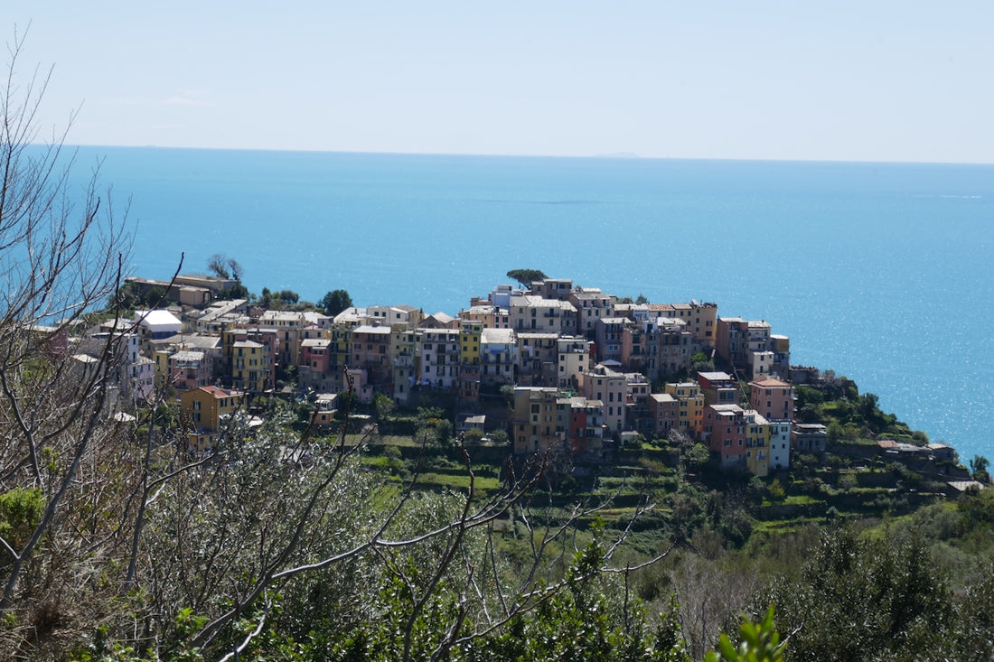 Colorful village nestled on a hillside overlooking the ocean.